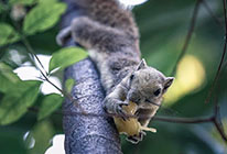 充值网站便宜的网站压力测试