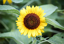 批发价格的ddos在线网页端