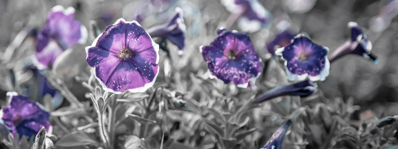 超级智能且功能丰富多样的ddos在线网页端