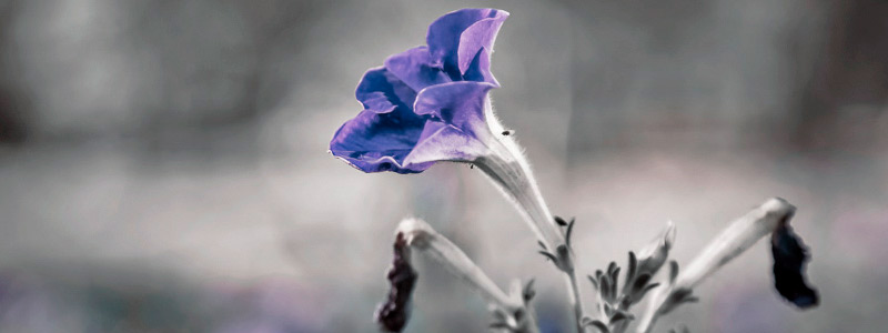 免费ddos在线攻击测试网站